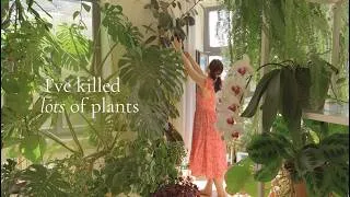 Thumbnail: 🌿Mistakes, Tips, and My Care Routine with RainPoint 🌿