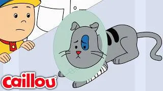 Thumbnail: WBCA05_04-Gilbert at the Vet-ENG