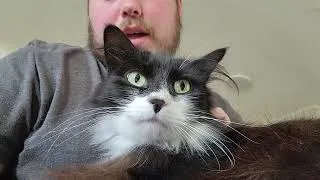 Thumbnail: My new kitty ☺️🐈