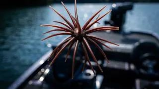 Thumbnail: This Urchin Bait Is Changing Bass Fishing — Here's Why