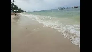 Thumbnail: Neptune beach weeps is strong 💪