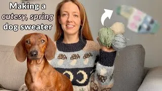 Thumbnail: Knitting a cute, spring sweater for my dog 🍄🐰🍓