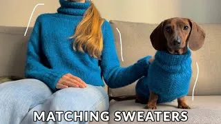 Thumbnail: I knit my mini dachshund a matching dog sweater