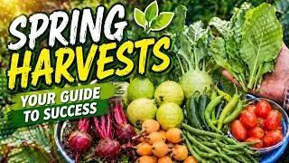 Thumbnail: Massive Spring Harvest! California Garden Tour 2026