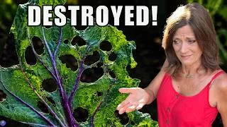 Thumbnail: Pests Are DESTROYING Your Garden! Stop Making This Mistake