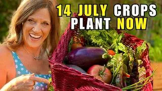Thumbnail: 14 JULY Crops to Plant NOW for Harvests All Summer