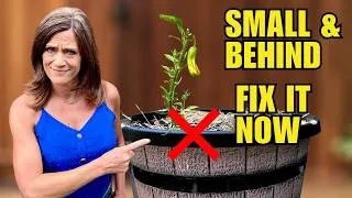Thumbnail: Why Are Your Peppers So Far Behind in June?