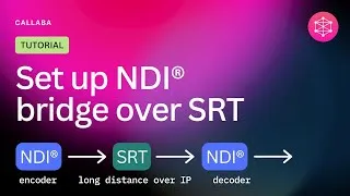 Thumbnail: Set up NDI® bridge over SRT