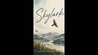 Thumbnail: "Skylark" a women's contemporary fiction, quick read novelette, publishing on Amazon KDP