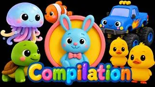 Thumbnail: Calm Bunny Compilation | High Contrast Sensory Video for Babies & Toddlers