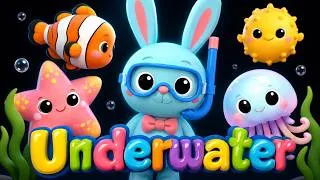 Thumbnail: Calm Bunny Underwater | High Contrast Sensory Video for Babies & Toddlers 🐠