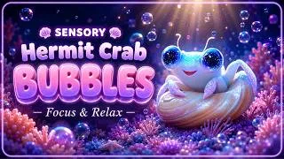 Thumbnail: Sensory Hermit Crab Bubbles 🐚 Calming Music for Classroom Focus | Ocean Sounds Autism & ADHD