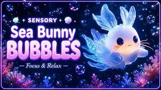 Thumbnail: Sensory Sea Bunny Bubbles 🐰 Calming Music for Classroom Focus | Ocean Sounds for Autism & ADHD
