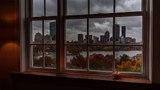 Thumbnail: Rainy Fall Window Outside Of Boston🍂🌧️ Fall Rain Ambience For Reading, Sleeping, Studying, Etc.