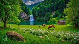 Thumbnail: Beautiful Relaxing Music 🍀Healing Music for Relaxation, Inner Balance, Stress Relief, Meditation
