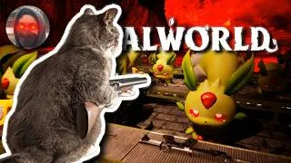 Thumbnail: THERE ARE NO LAWS AGAINST THE PALS