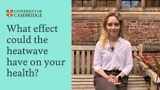 Thumbnail: Wildfires and heatwaves: Dr Kim van Daalen on public health impact