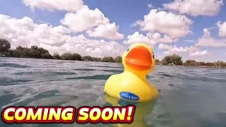 Thumbnail: Camel’s Australian Adventures