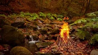 Thumbnail: A Quiet Fire Beside Running Water (NO AI) 🍁🔥 The Perfect Forest Ambience for Fall