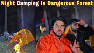 Thumbnail: Overnight Camping In Most Dangerous Forest | खतरनाक जंगल में की कैंपिंग 😰 | Camping In Kashmir 