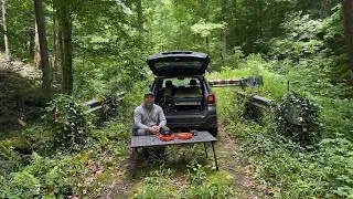 Thumbnail: Solo Camping at end of a Deserted Forest Road Got Strange!