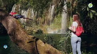 Thumbnail: ដើរលេងកំសាន្ត ក្នុងព្រៃ មើលទឹកសមុទ្រ | Walking in Jungle and Sea View