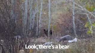 Thumbnail: We fed a wild bear...