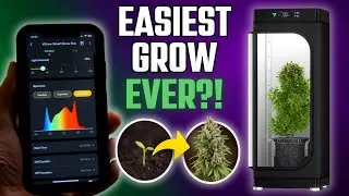 Thumbnail: Seed to Harvest in a Fully Automated Smart Grow Box (VGrow Test)