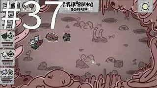 Thumbnail: Mewgenics 37: Throbbing Domain!