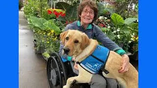Thumbnail: Puget Sound Field Office Graduation | Northwest Region | June 5, 2026 | Canine Companions