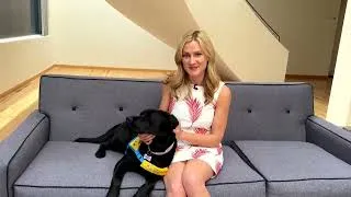 Thumbnail: CBSNews.com and KPIX puppy Scoop Grows up in the Newsroom | Canine Companions #puppy #servicedog