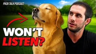 Thumbnail: Tired of Being Ignored? Train Your Dog to Listen Anywhere, Around Anything