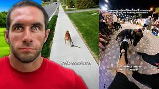 Thumbnail: The Most Insane Off-Leash Dog Videos on the Internet