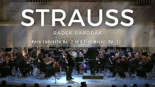 Thumbnail: R. Strauss: Horn Concerto No. 1 in E flat major, Op. 11 / Radek Baborák