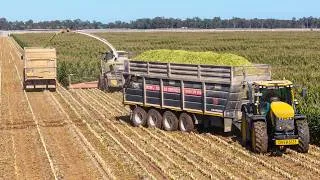 Thumbnail: Australia's BIGGEST SILAGE CONTRACTOR - Monk & Son