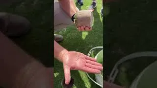 Thumbnail: The Breakers Resort CapillaryFlow Tennis grass courts