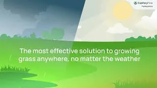 Thumbnail: Capillary Hydroponics - how to grow perfect grass everywhere