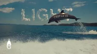 Thumbnail: Light - C'est La Vie (Official Music Video)