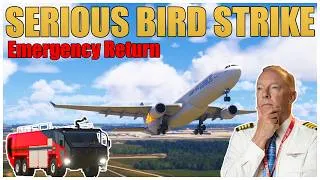 Thumbnail: A330 Freighter Suffers Dual Bird Ingestion After Takeoff | Captain Steeeve