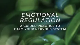 Thumbnail: 15 Minutes to Calm & Balance Your Nervous System