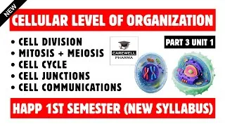 Thumbnail: Cell Division | Mitosis | Meoisis | Cell Junctions | Cell Communication | Part 3 Unit 1 | Happ 1 Sem