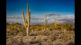 Thumbnail: What's it like to live in Phoenix?