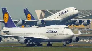 Thumbnail: 60 MINUTES PURE AVIATION - AIRBUS A380 DEPARTURE with a BOEING 747 passing by (4K)