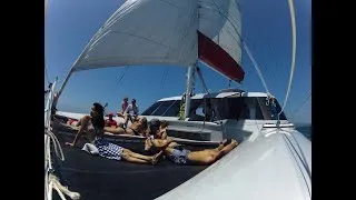 Thumbnail: Bay of Islands Sailing & Wildlife Day Cruise | Carino Wildlife Cruises