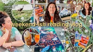Thumbnail: Spend a weekend with me! {reading, baseball, and turkeys!🦃}
