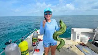 Thumbnail: The Most Dangerous Eel in the Florida Keys?