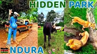 Thumbnail: I Discovered Kenya’s 🇰🇪 Most Mysterious Animal Sanctuary - Kitale Nature Conservancy -Ndura Park