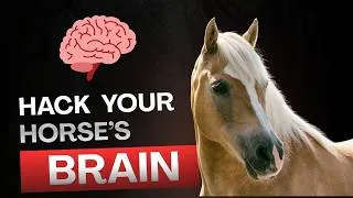 Thumbnail: How to Hack Your Horse's Brain 🧠