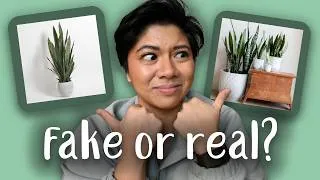 Thumbnail: ARTIFICIAL PLANTS you need in your collection | Fake houseplants that look better than real ones