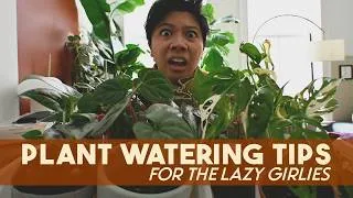 Thumbnail: 💦 LAZY plant watering for those who can't be bothered | water your plants quickly and efficiently 🪴